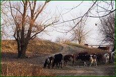 0_c5d91_6007b1f_orig.jpg