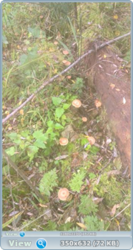 0_f10ef_d9765950_orig.png