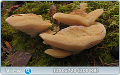 0_f2818_1d8cc1c6_orig.png