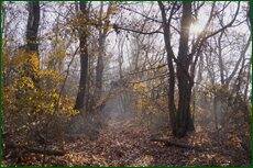 0_c5d41_c2ce838b_orig.jpg