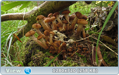 0_ef6b9_62225bb_orig.png