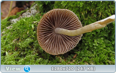 0_f12a1_1a8e1311_orig.png