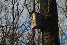 0_deb86_adb12289_orig.png