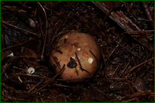 0_db126_7f16bd45_orig.png