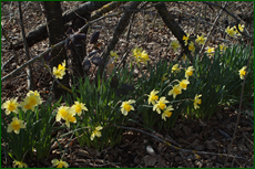 0_e1dce_49f1474d_orig.png
