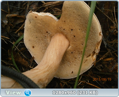 0_efb59_8de80c62_orig.png