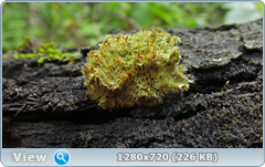 0_e94d0_6e6267ef_orig.png