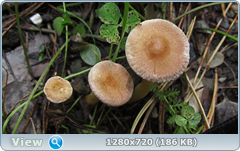 0_e94b0_82e96ad8_orig.png