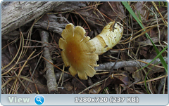 0_ef357_b8455e1e_orig.png