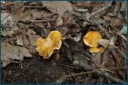 0_d08f8_6999ef18_orig.jpg