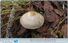 0_f37fc_9a3af4a7_orig.png