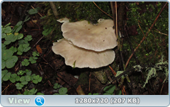 0_e90c4_9c4cc708_orig.png