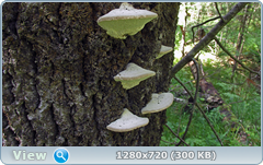 0_10aa8c_ba68df7f_orig.png