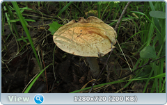 0_10b109_c238c1e3_orig.png