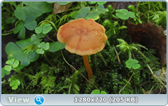 0_112b1f_2c92103f_orig.png