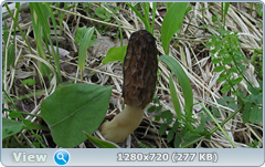 0_106477_dbae1ddf_orig.png