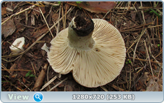 0_10a301_5e04c3ce_orig.png