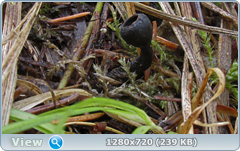 0_103851_ad57975f_orig.png