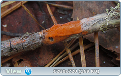 0_10551c_55815e7e_orig.png