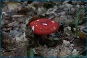 0_d23f2_f162da02_orig.jpg