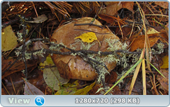 0_f272e_b6c3907b_orig.png