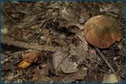 0_d2547_a26b5675_orig.jpg