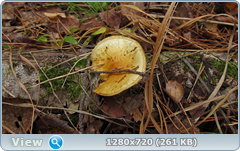 0_f4ffb_18ea0530_orig.png