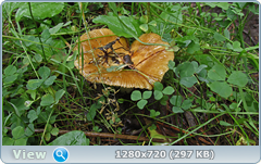 0_e90d8_1044ab40_orig.png