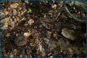 0_d2444_dbf90799_orig.jpg