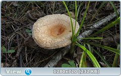 0_ef380_a6aa45d9_orig.png