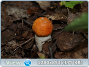 0_d4c26_60829812_orig.png