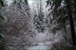 0_11191d_40e210fb_orig.png