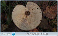 0_f2802_7ba82719_orig.png