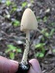 0_71206_abdcac6_S.jpg