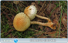 0_ea3c7_dc271563_orig.png