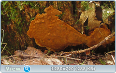 0_103e43_7fe6299f_orig.png
