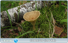 0_10f2db_a8ccc4c8_orig.png
