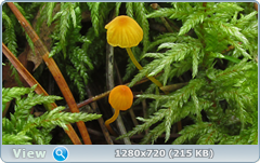 0_10f2e5_a8db42c6_orig.png