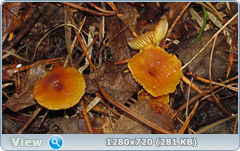 0_f4fce_127e1450_orig.png