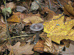 0_77cb4_a3149095_S.jpg