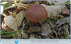 0_f30e5_ed7b737b_orig.png