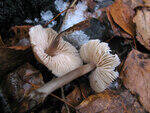 0_7984a_714eaf79_S.jpg