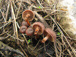 0_7b465_952ba552_S.jpg