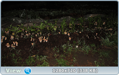 0_e6d42_54bc2a75_orig.png