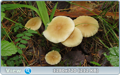 0_fb73e_459548f7_orig.png