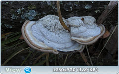 0_fc503_82c84fda_orig.png