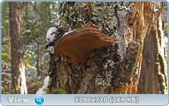 0_115865_3be6bb6a_orig.png