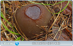 0_1037d9_f386aba2_orig.png