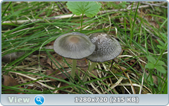 0_10655e_56de8a64_orig.png