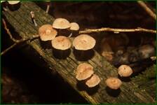 0_fdeb5_94dbf782_orig.jpg